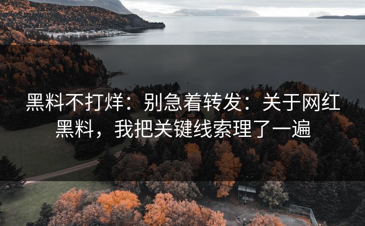 黑料不打烊：别急着转发：关于网红黑料，我把关键线索理了一遍