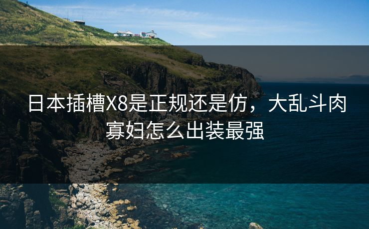 日本插槽X8是正规还是仿,大乱斗肉寡妇怎么出装最强 日本插槽X8是正规还是仿,大乱斗肉寡妇怎么出装最强