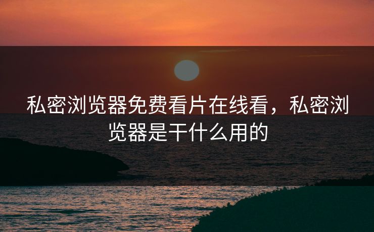 私密浏览器免费看片在线看，私密浏览器是干什么用的