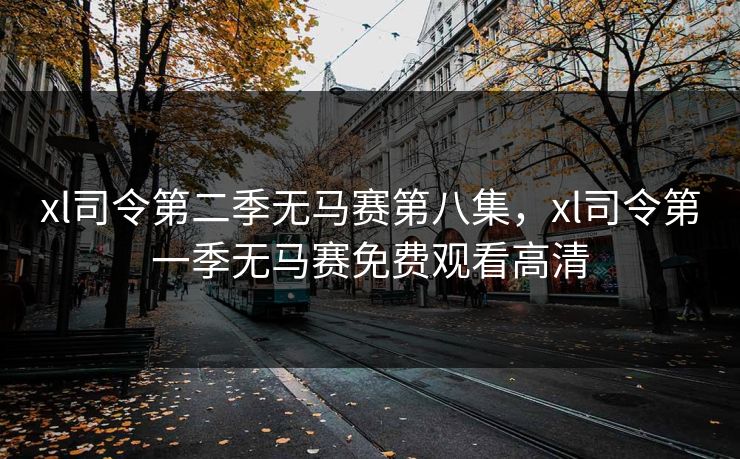 xl司令第二季无马赛第八集，xl司令第一季无马赛免费观看高清